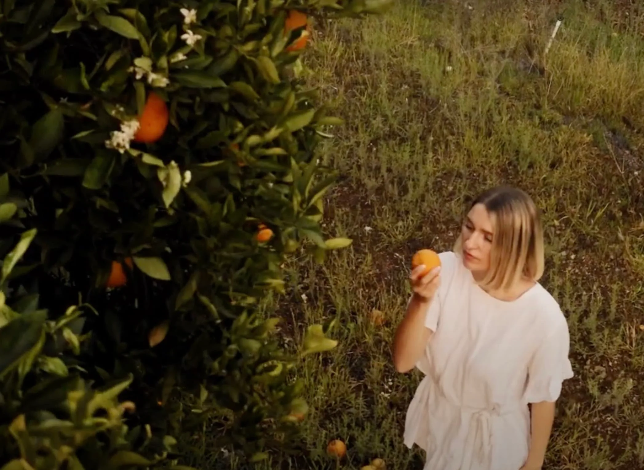 Scentwedge for Tesla Model Y & Model 3 Air Freshener (Valencia) - Image 4