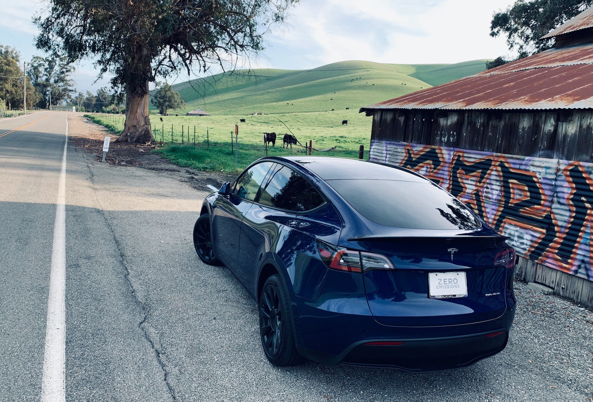 Tesla Model Y Carbon Fiber Performance Rear Spoiler - Image 18