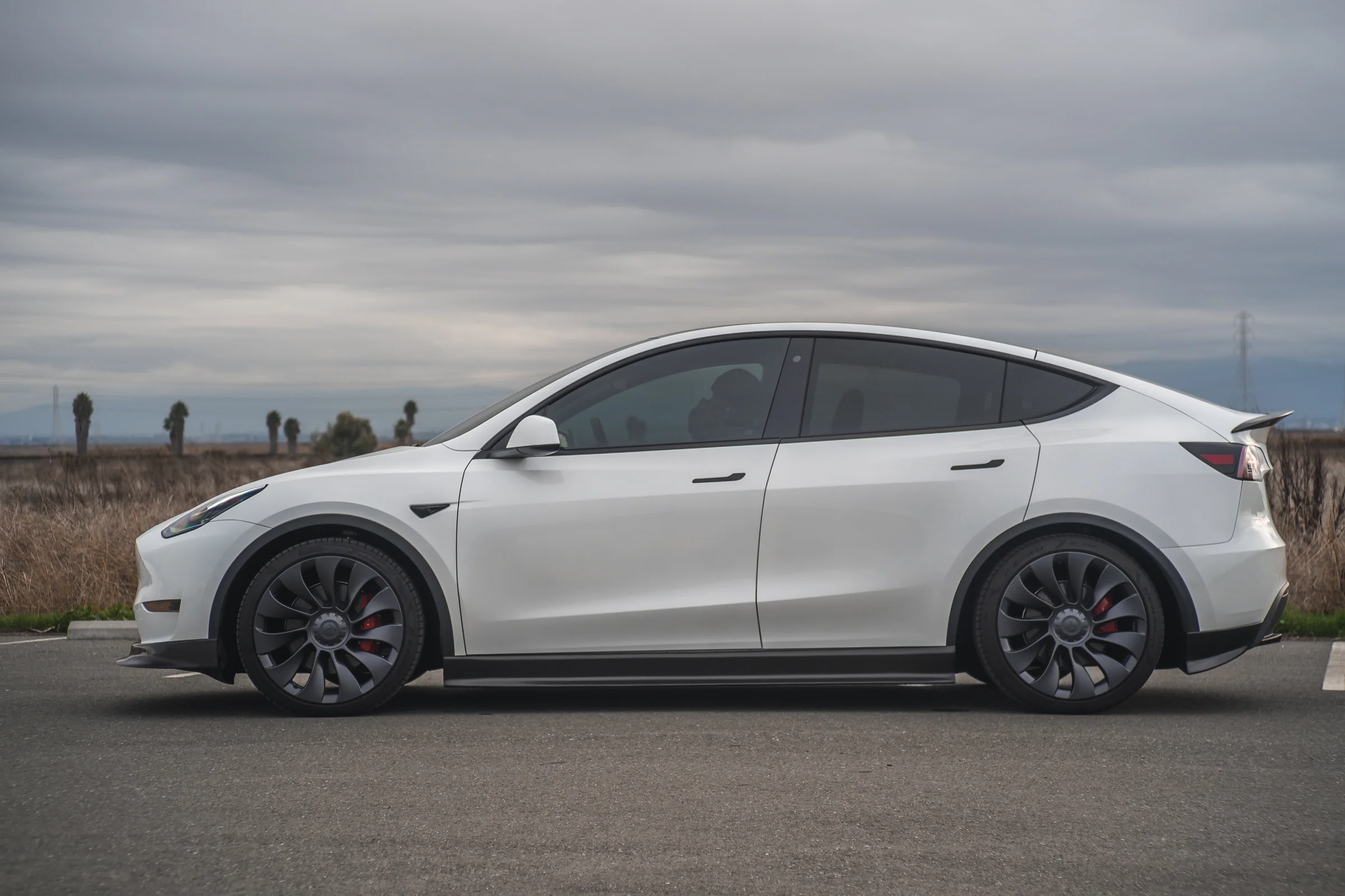 Tesla Model Y Carbon Fiber Performance Rear Spoiler - Image 5