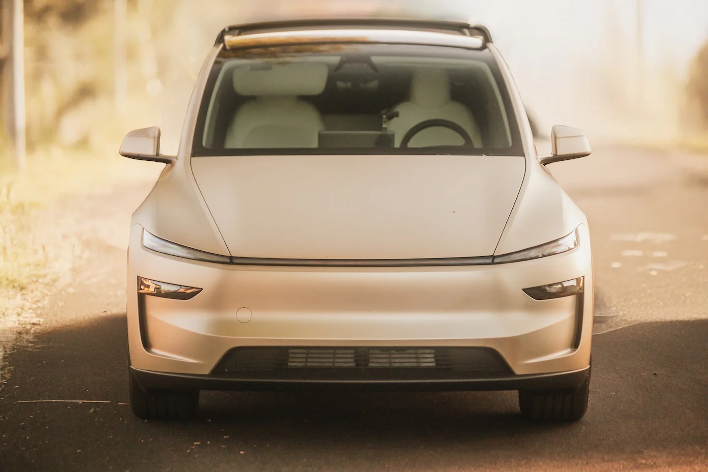 Tesla Model Y Roof Rack Crossbars System - Image 6