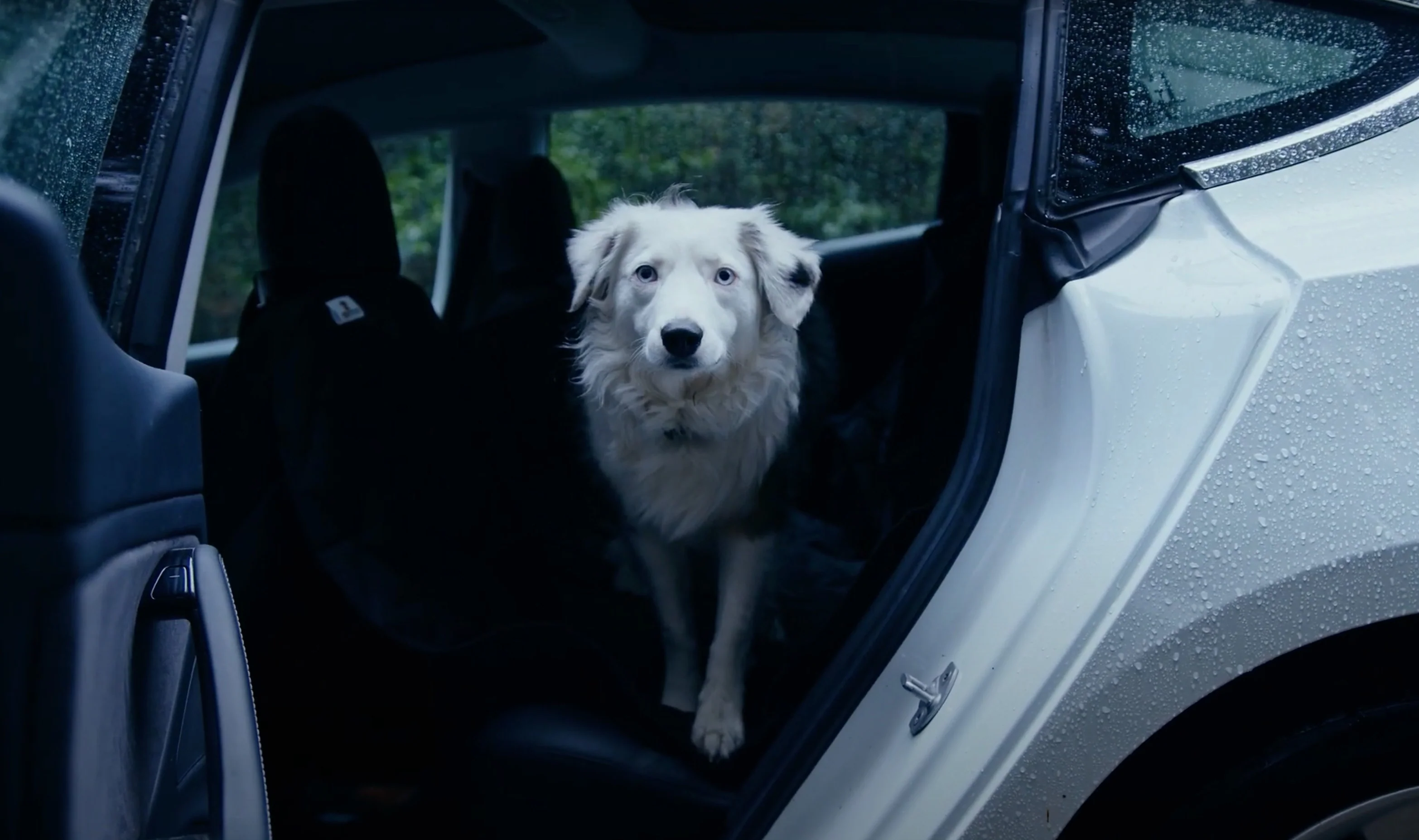 Premium Rear Seat Pet Cover for Tesla Model 3/Y and Model S/X - Image 3